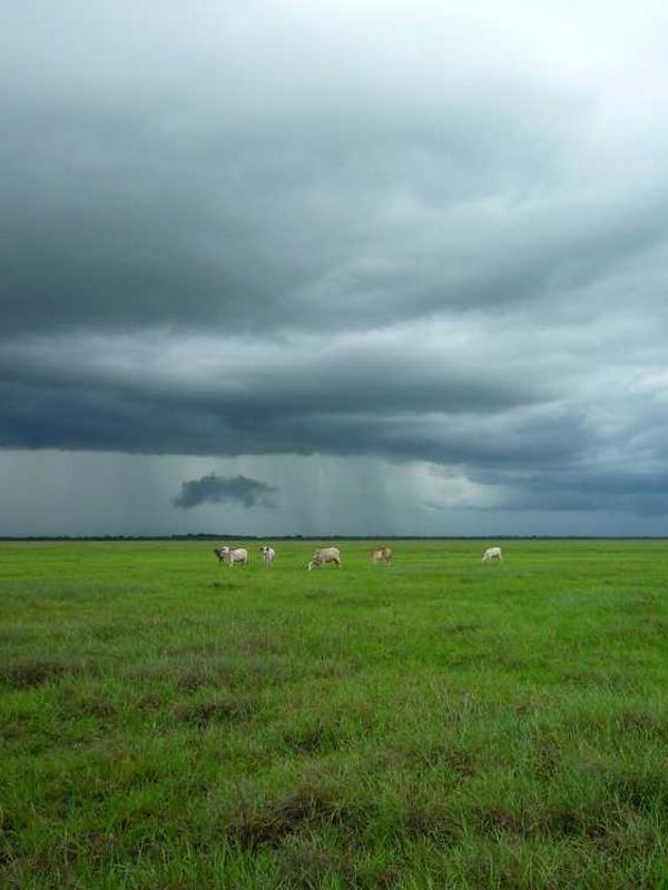 شال بچگانه پلی‌استر کد V46MF