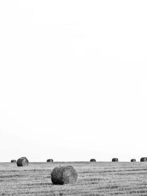 شال بچگانه پلی‌استر کد V46MF