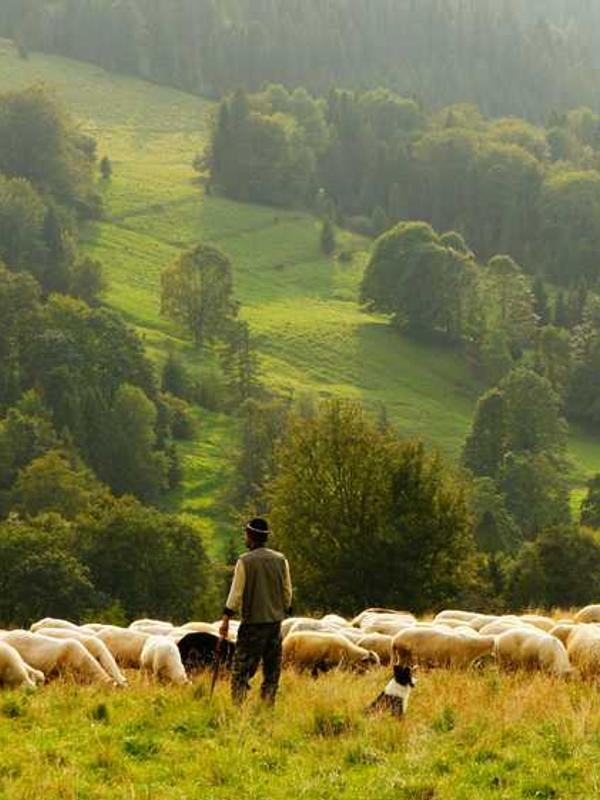 پیراهن یونیسکس کتان کد K0SZQ