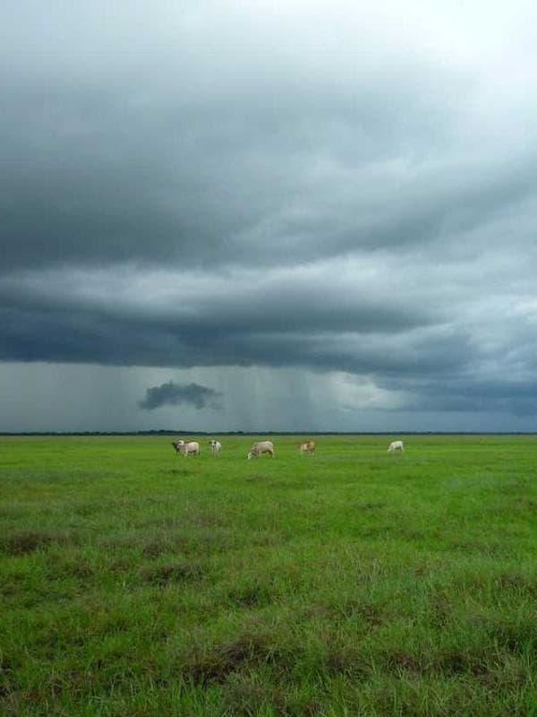 شال بچگانه پلی‌استر کد V46MF