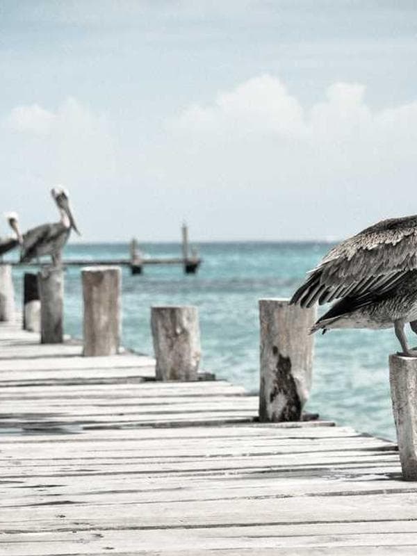 شال بچگانه پلی‌استر کد V46MF