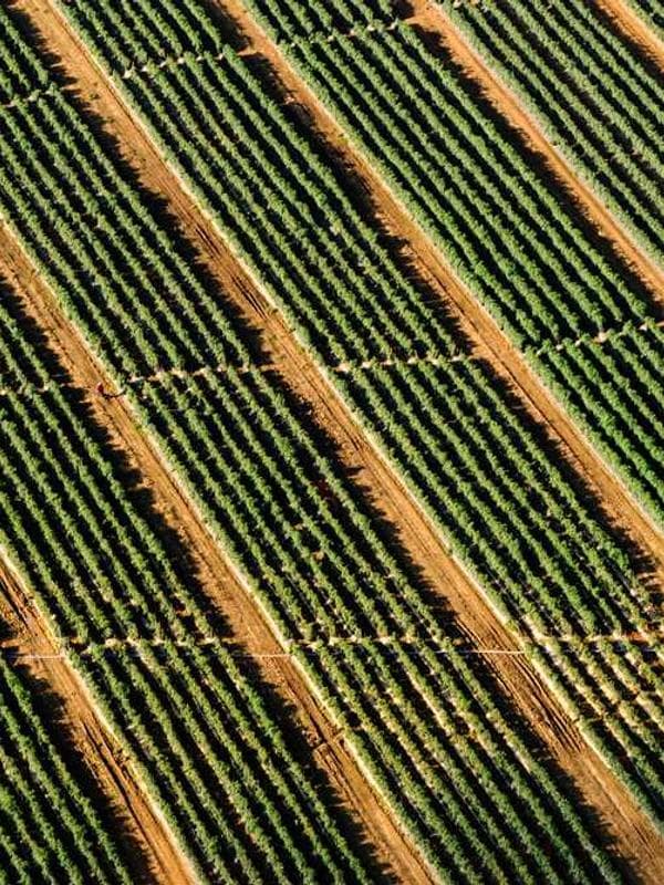 شلوار بچگانه نخ پنبه کد IOJRG