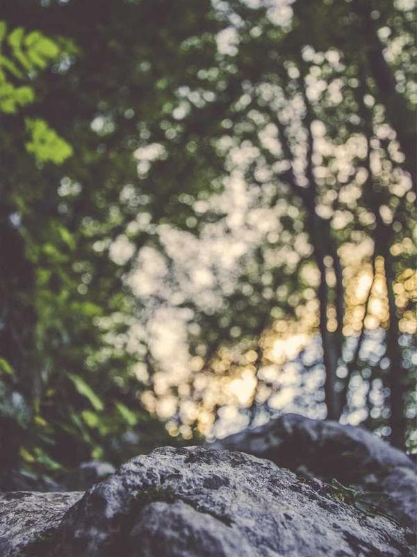 کفش زنانه پلی‌استر رنگ زرد کد XL3QQ