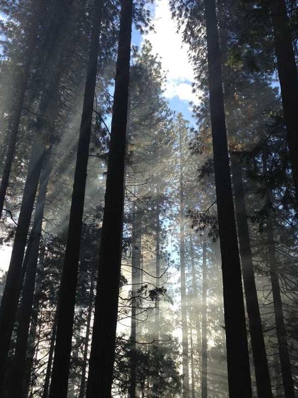 کیف پلیاستر یونیسکس مدل HGLYA